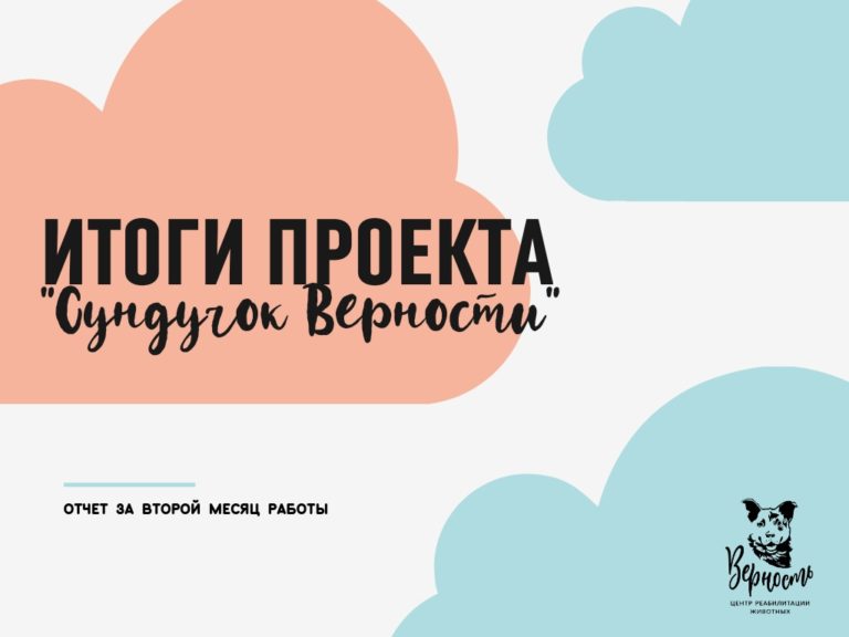Read more about the article СУНДУЧОК ВЕРНОСТИ. ОТЧЁТ ЗА ДВА МЕСЯЦА