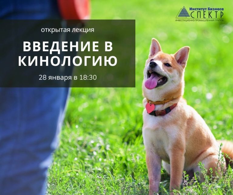 Read more about the article ЛЕКЦИЯ ПО КИНОЛОГИИ