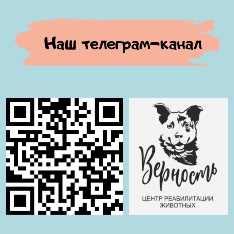 Read more about the article Друзья, у нас появился телеграм-канал.