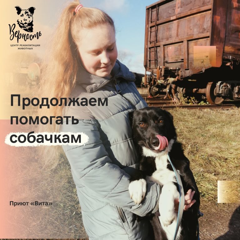 Read more about the article ПРАЗДНИК ТРУДА В СОБАЧЬЕМ ДОМЕ