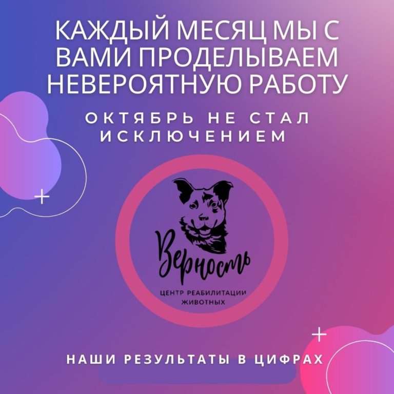 Read more about the article КАК ПРОШЁЛ НАШ ОКТЯБРЬ