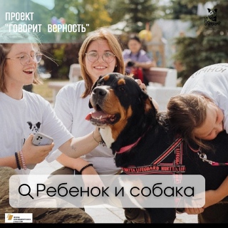 Read more about the article РЕБЕНОК И СОБАКА